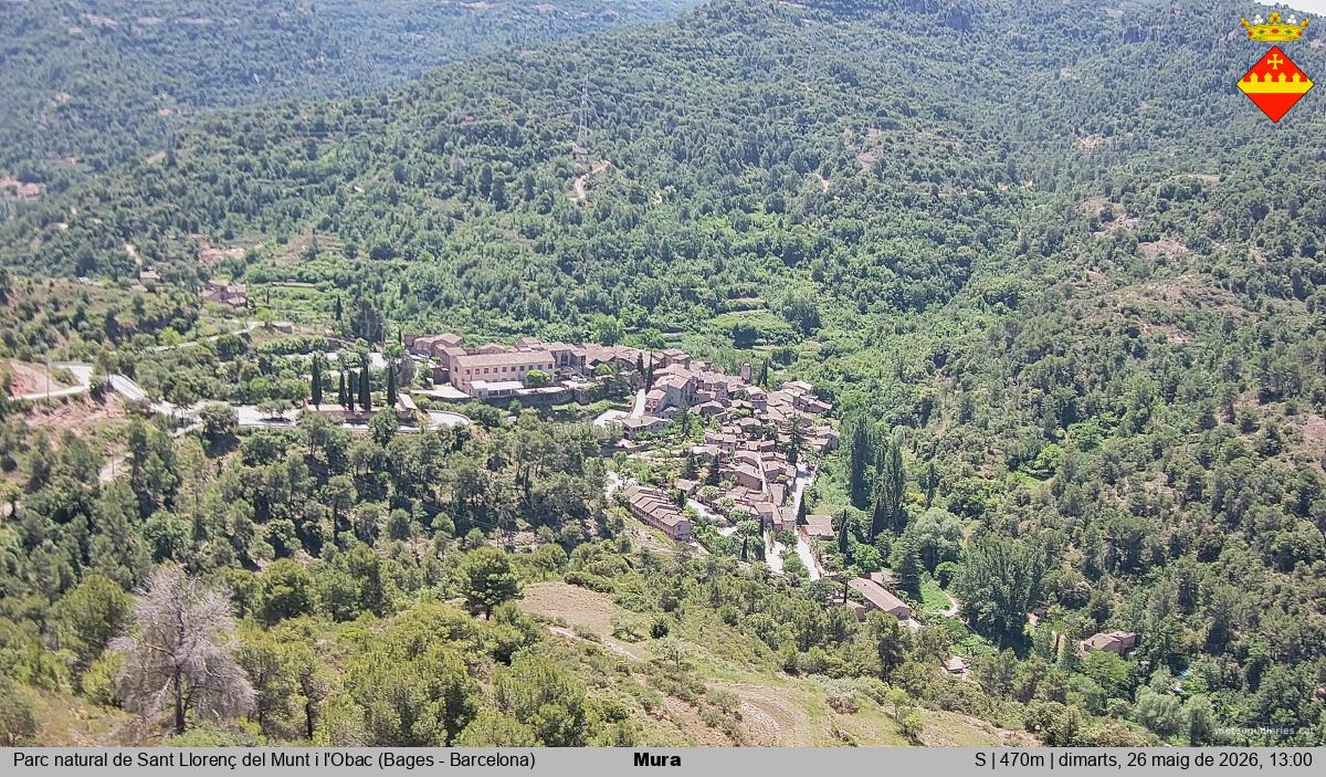 Mura 