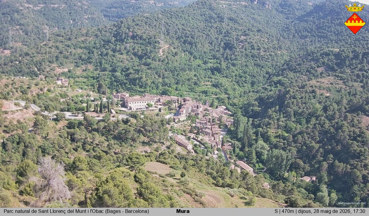Mura 