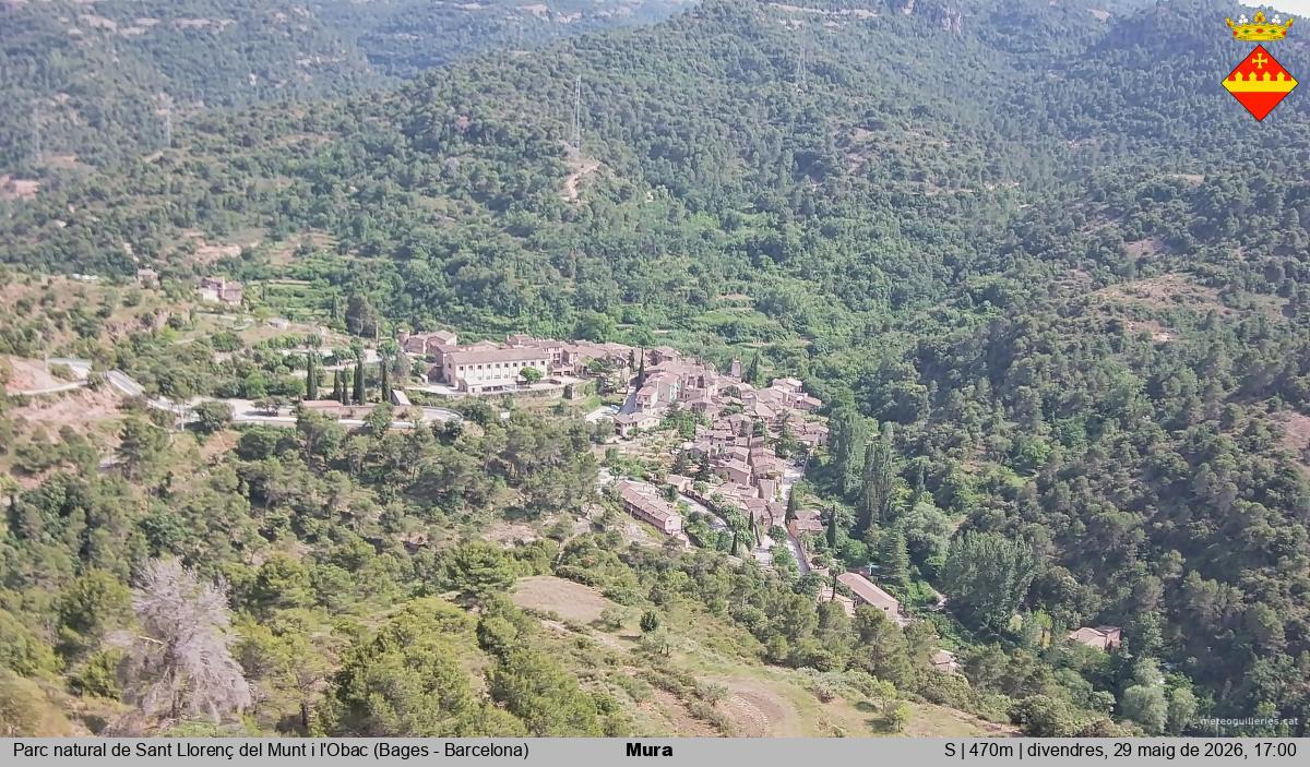 Mura 
