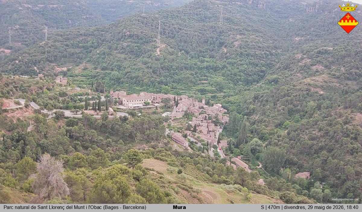 Mura 