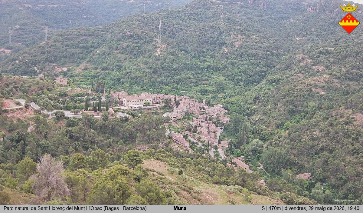 Mura 