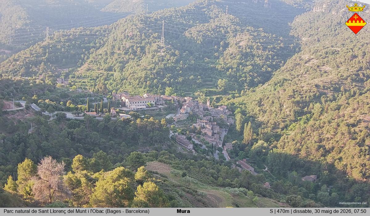 Mura 