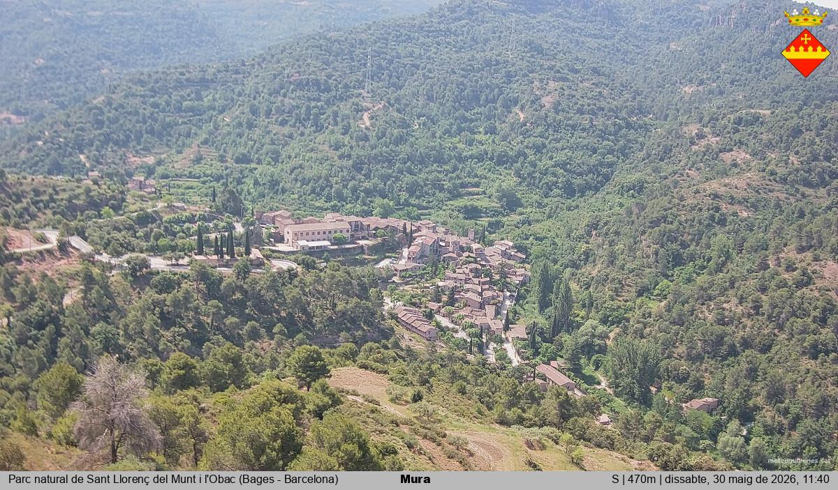 Mura 