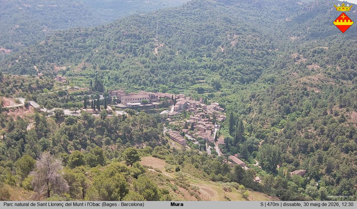Mura 