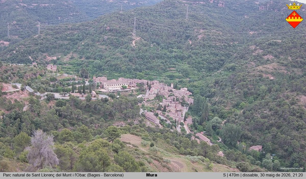Mura 