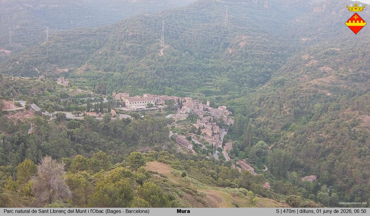 Mura 