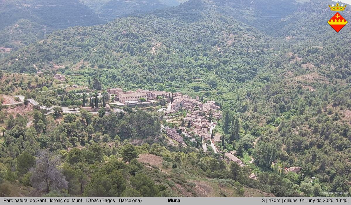 Mura 
