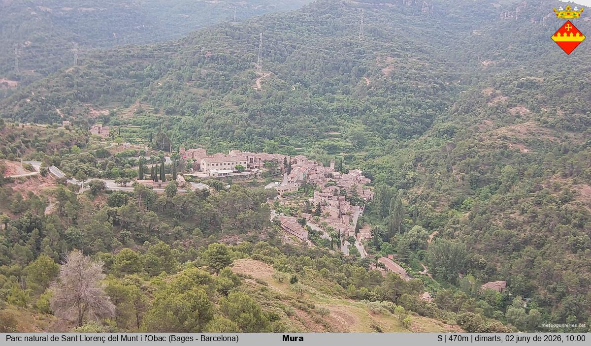 Mura 