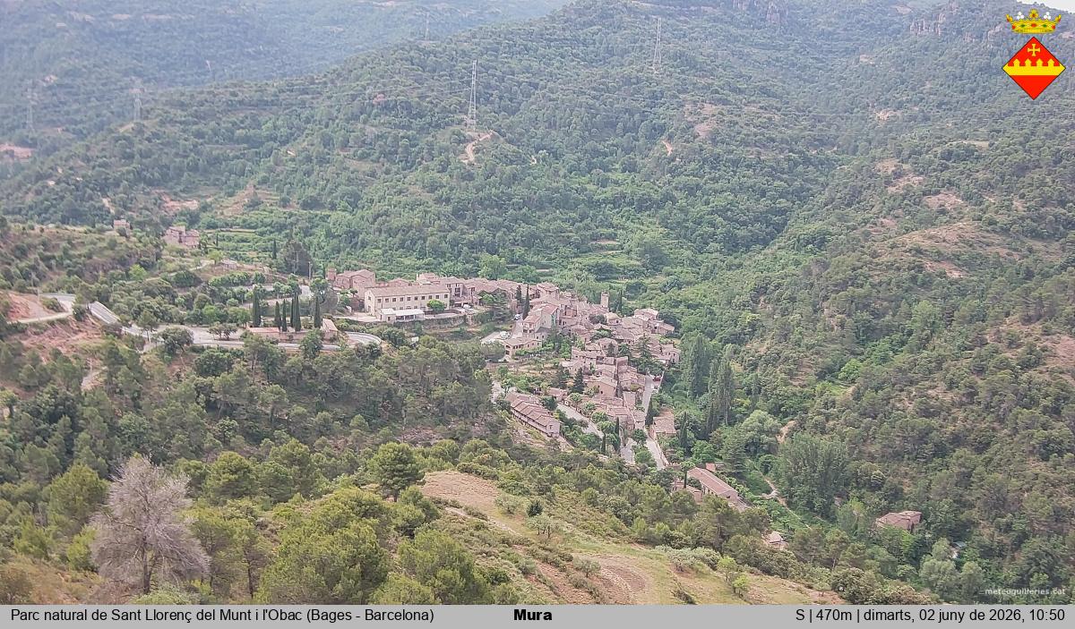 Mura 