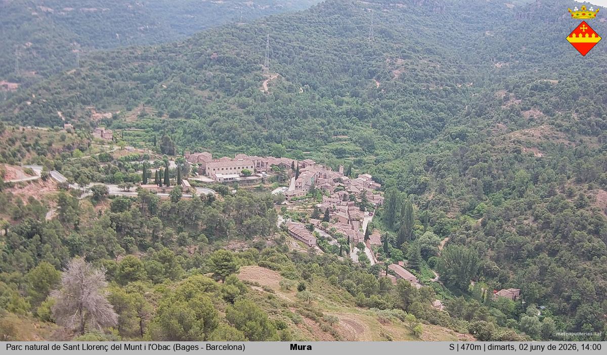 Mura 