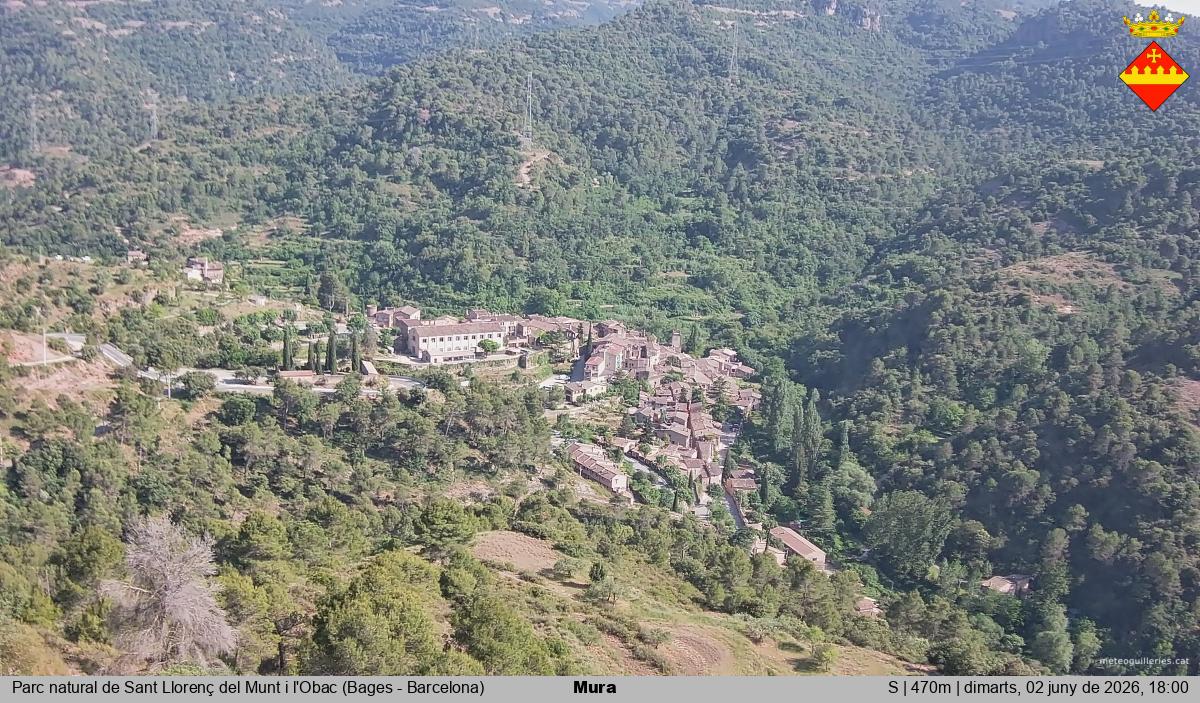Mura 