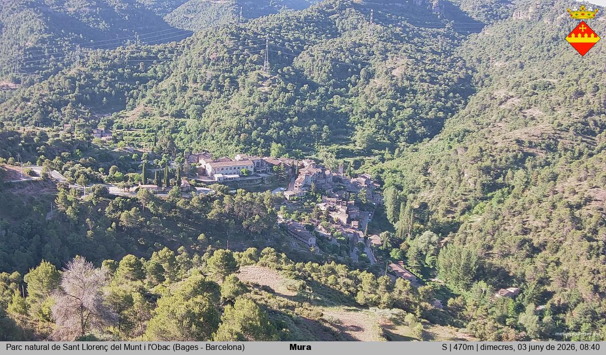 Mura 