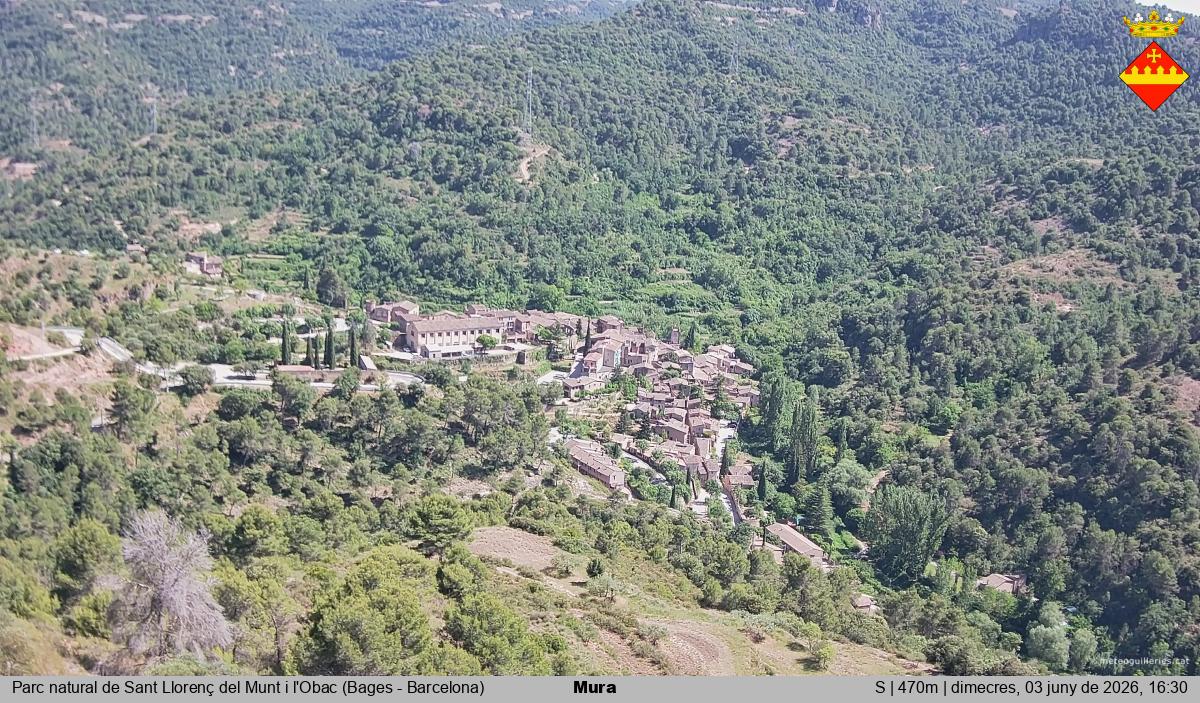 Mura 