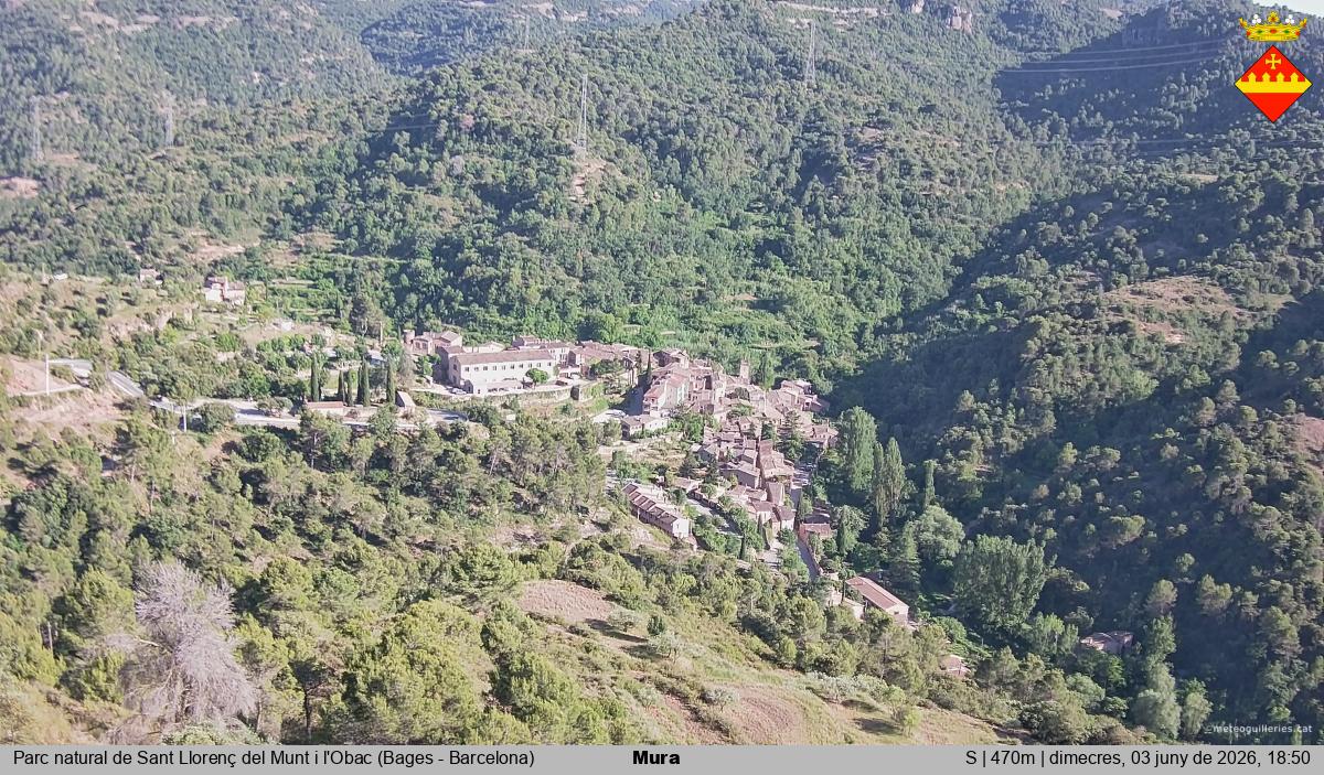 Mura 