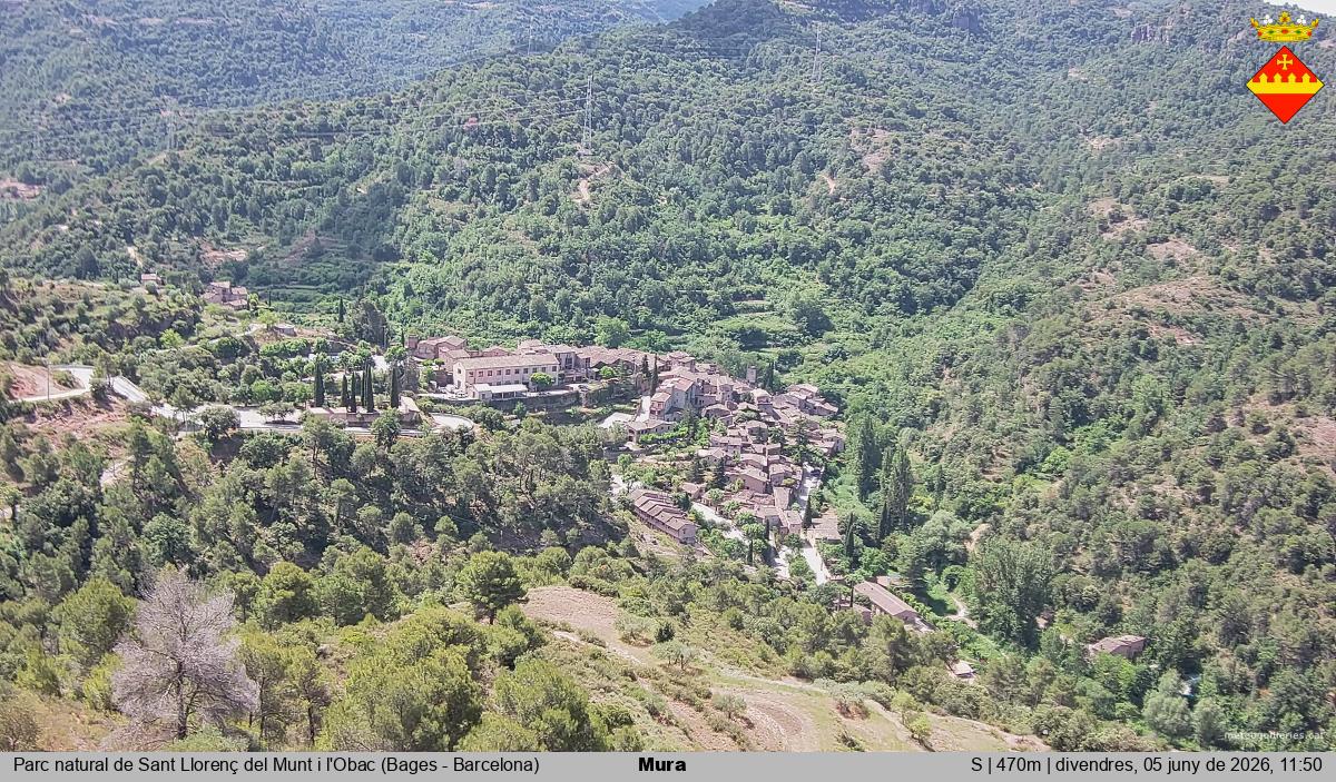 Mura 
