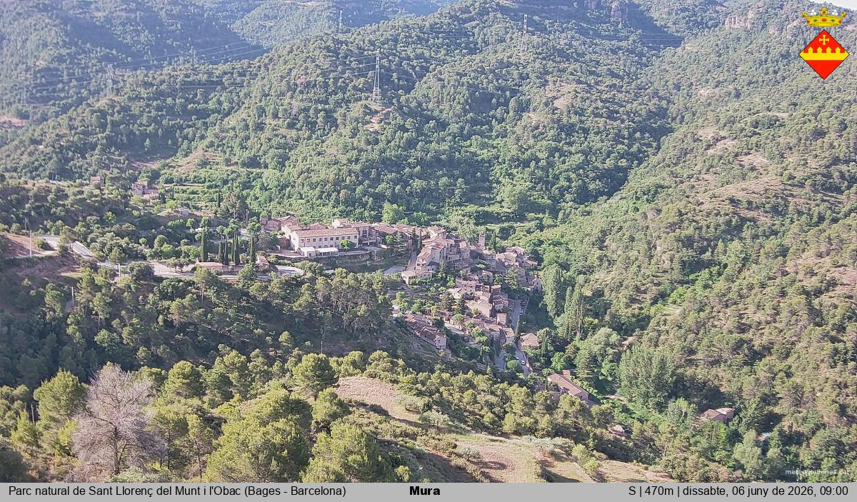 Mura 