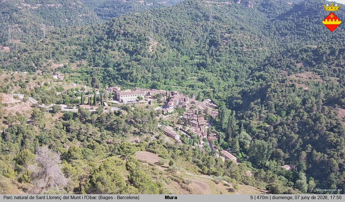 Mura 