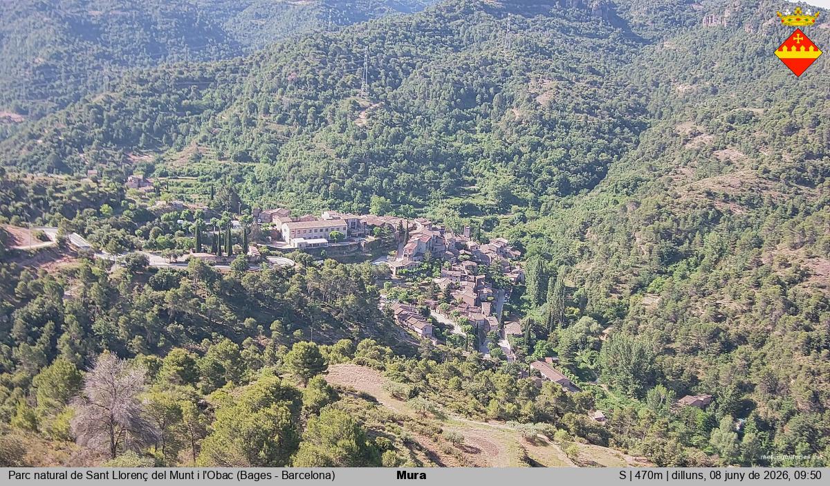 Mura 
