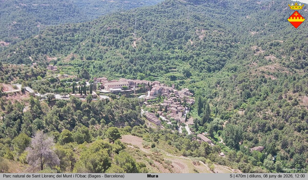 Mura 