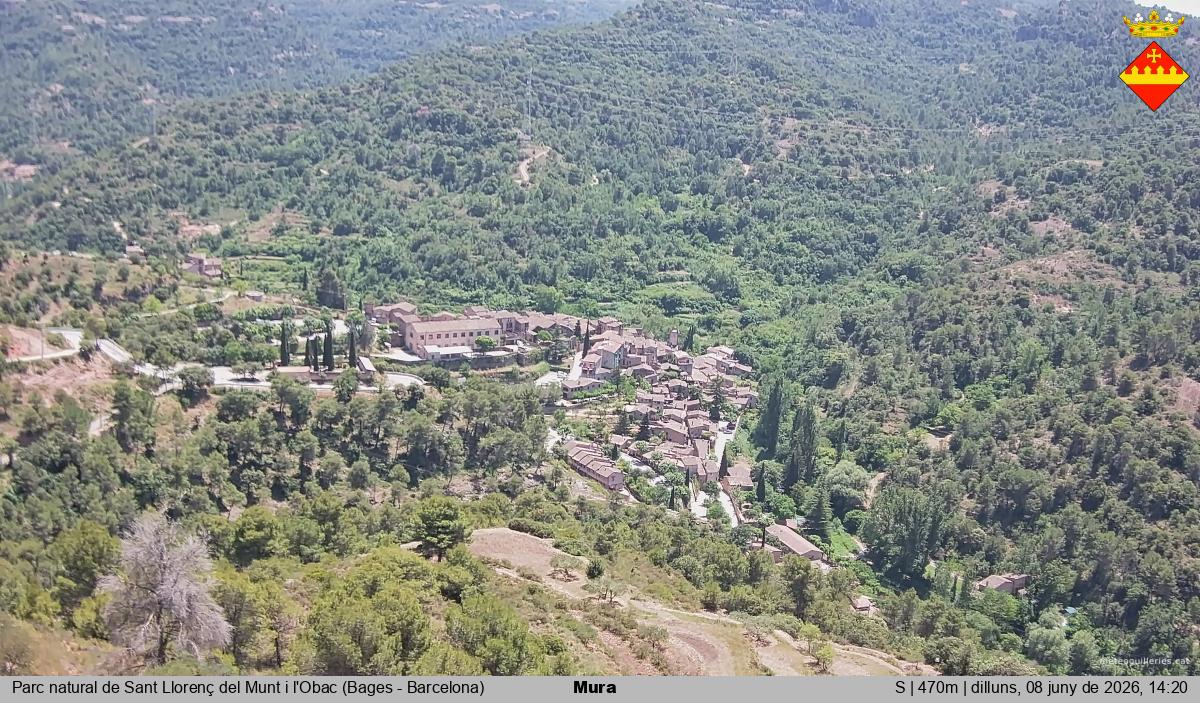 Mura 