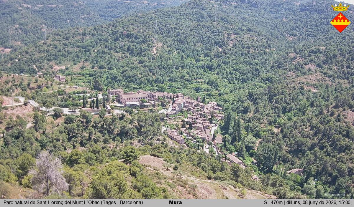 Mura 