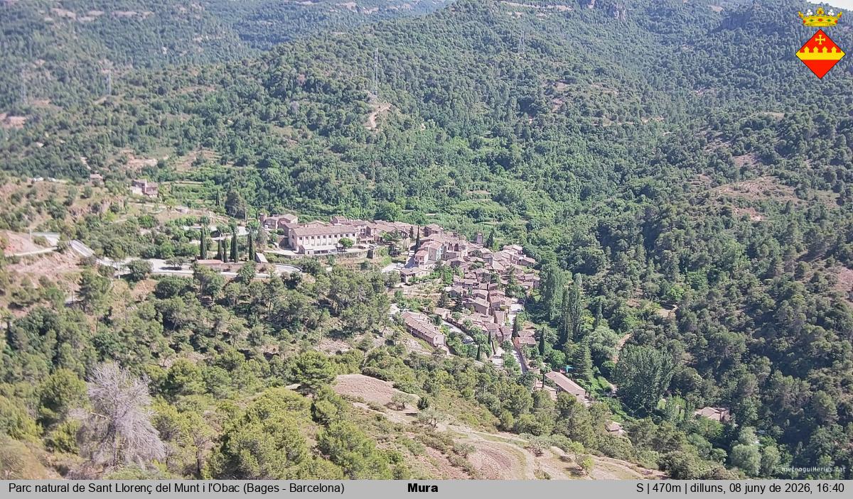 Mura 