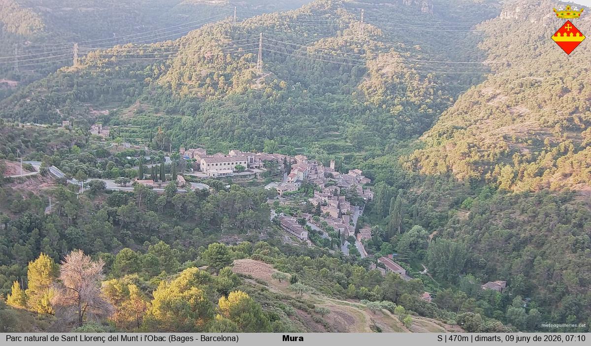 Mura 