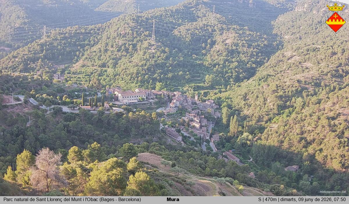 Mura 