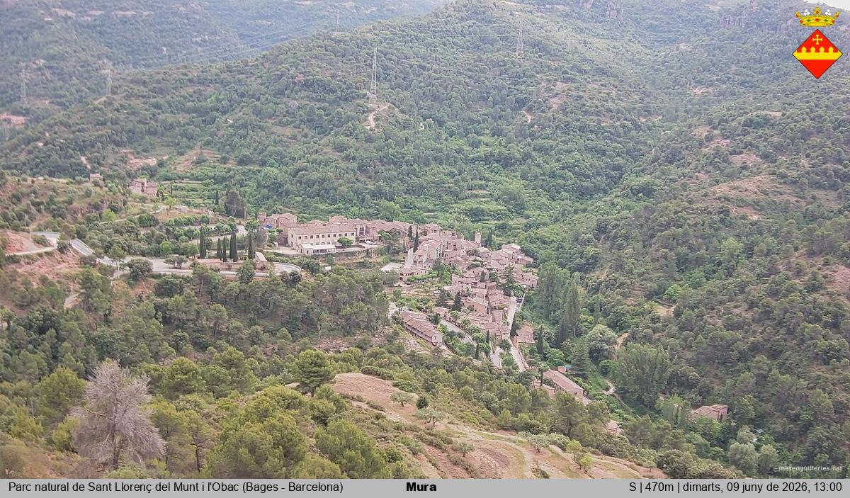 Mura 