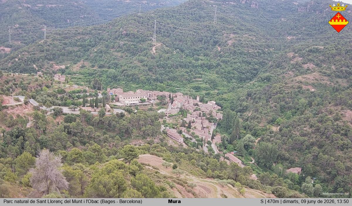 Mura 