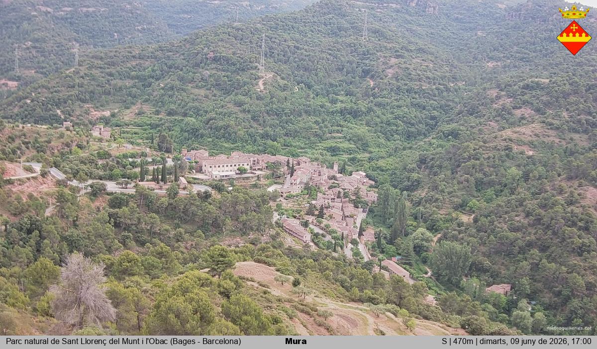 Mura 