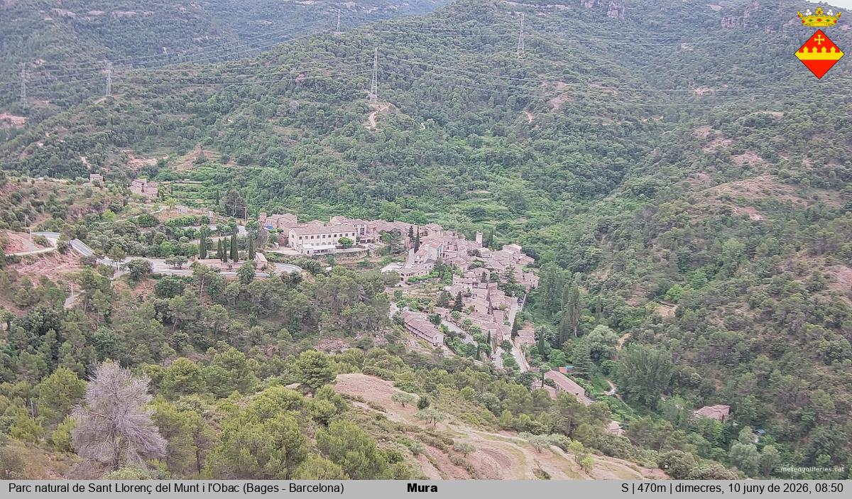 Mura 