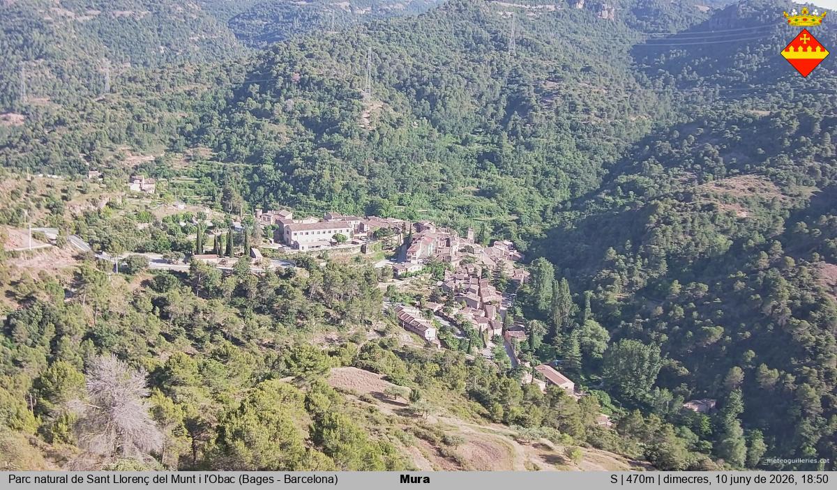 Mura 