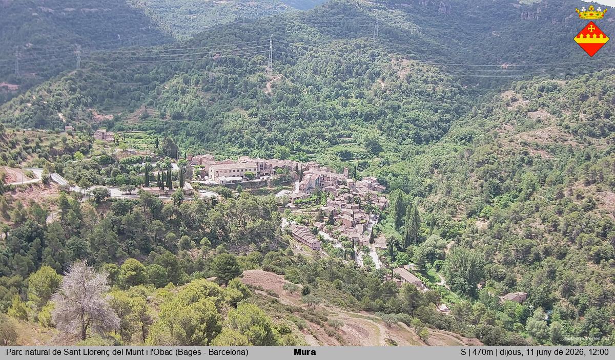 Mura 