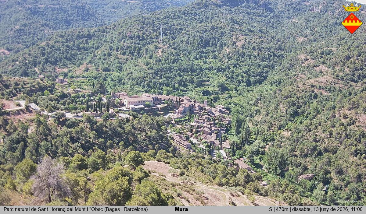 Mura 