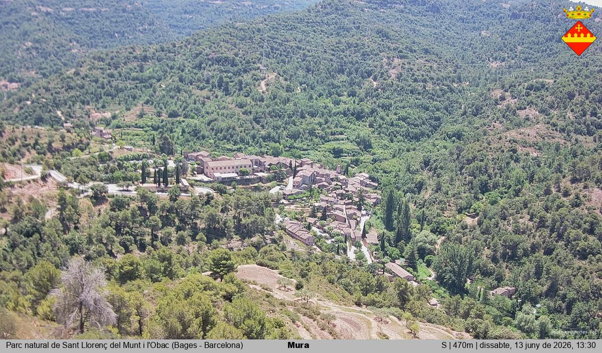 Mura 