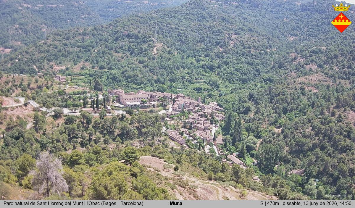 Mura 