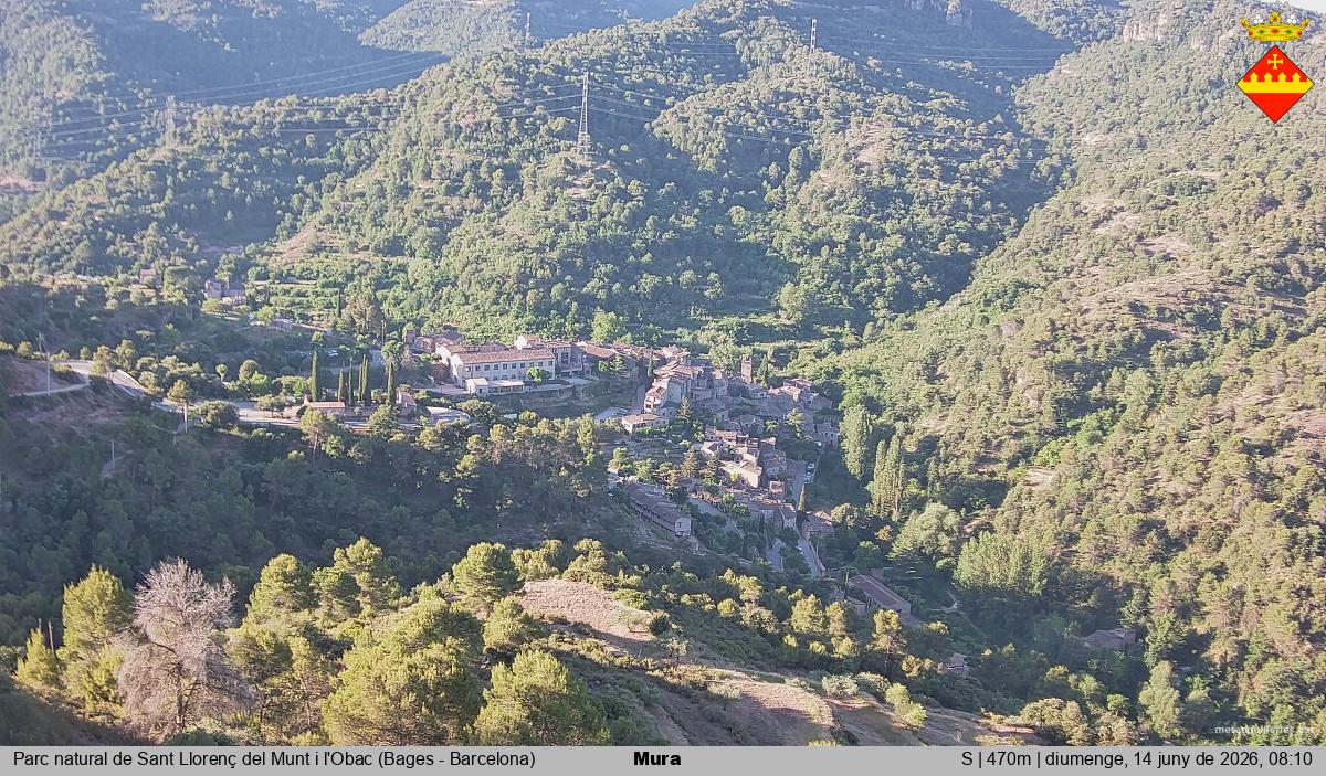 Mura 