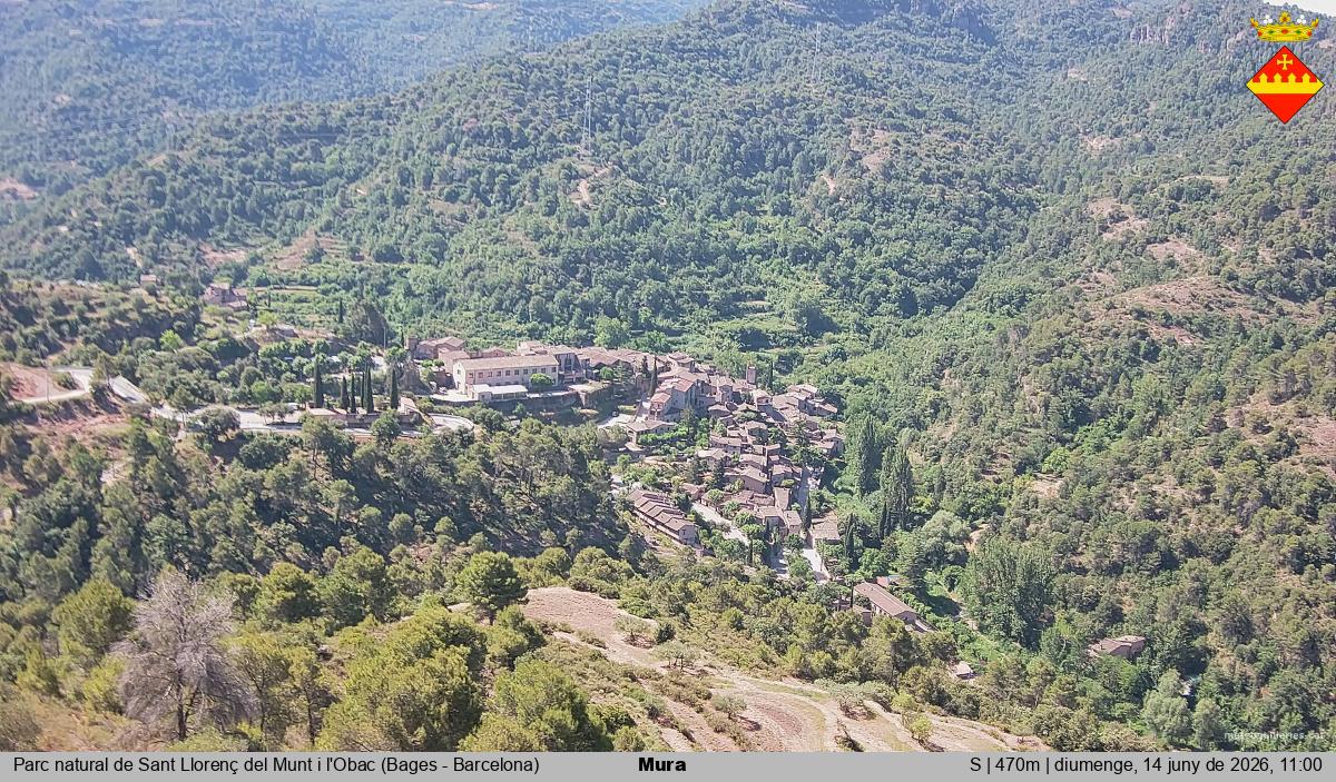 Mura 