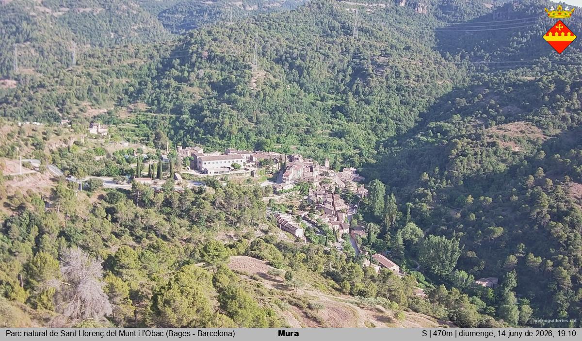 Mura 