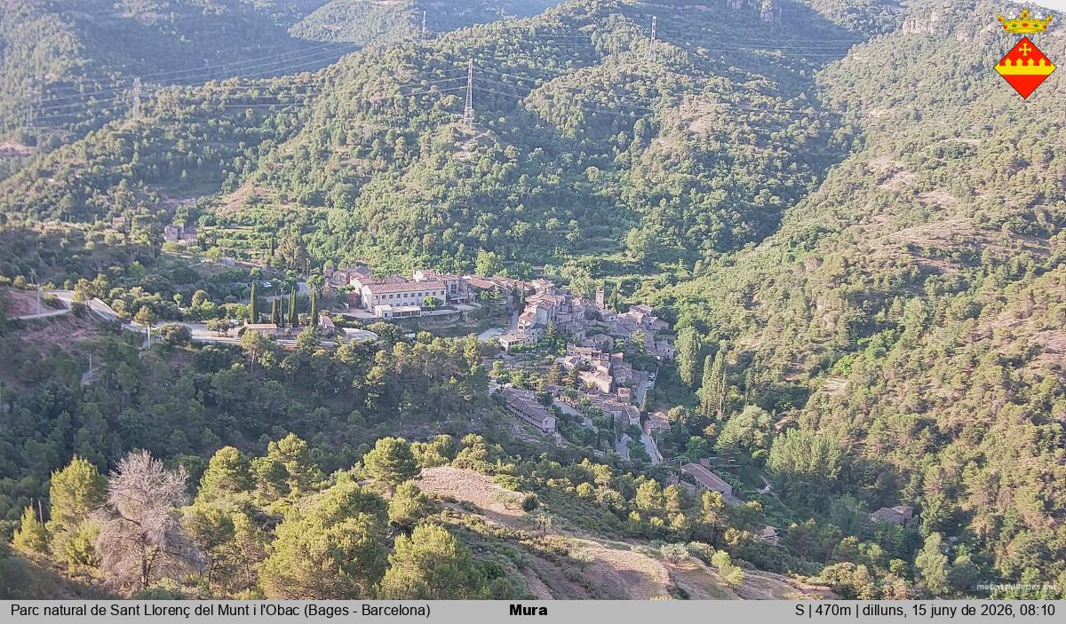Mura 