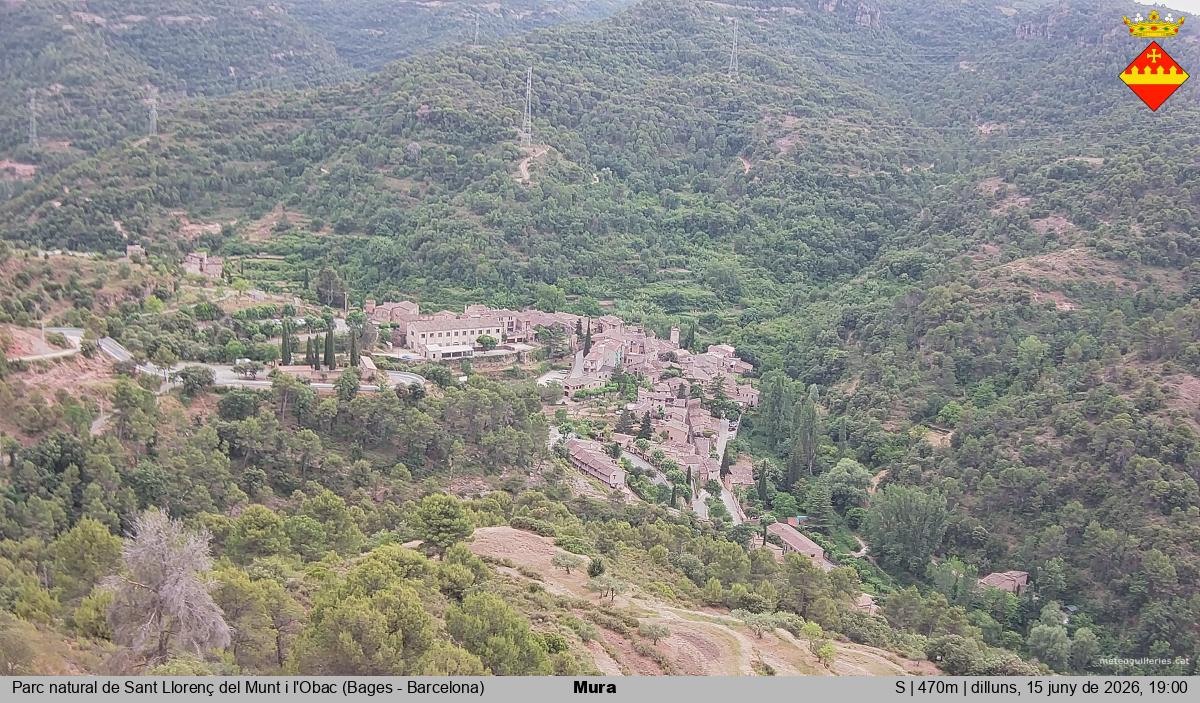 Mura 