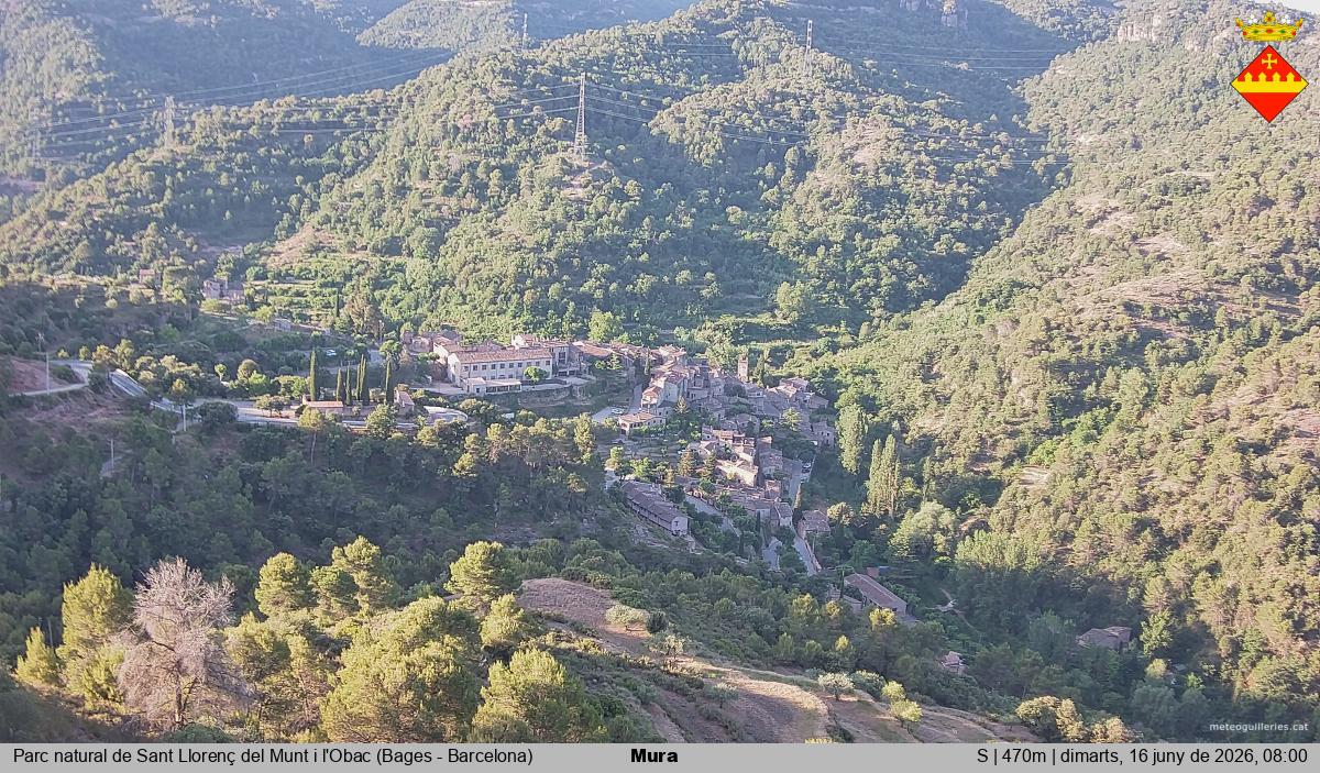 Mura 