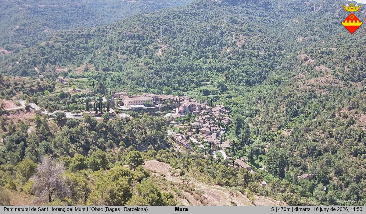 Mura 