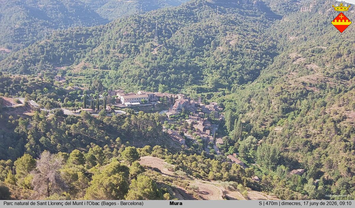 Mura 