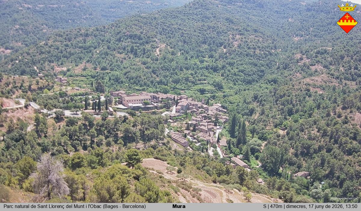 Mura 
