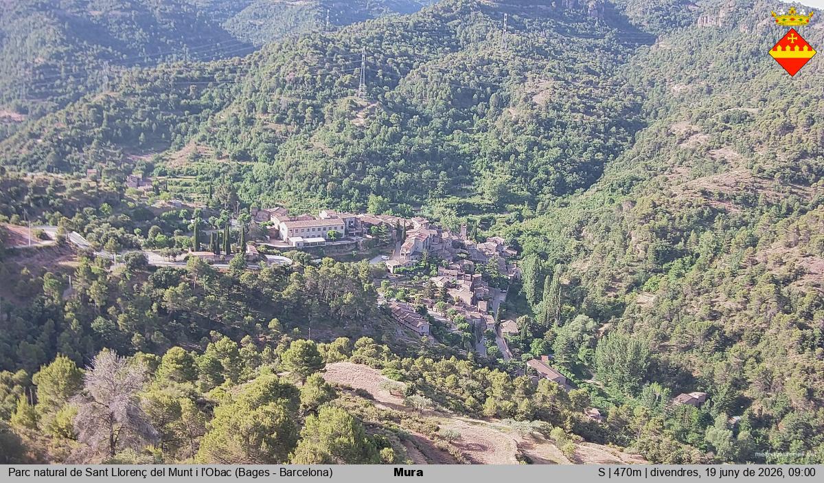 Mura 