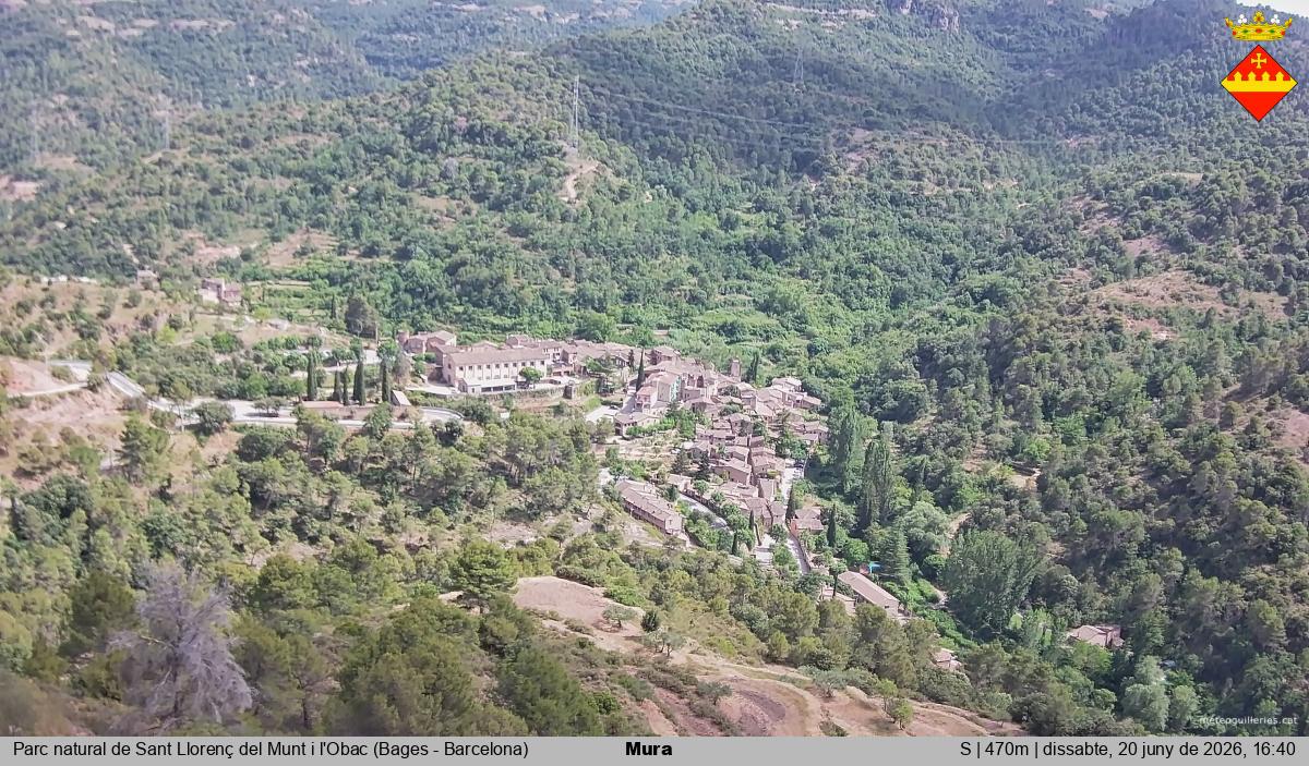 Mura 