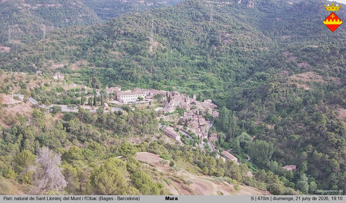 Mura 