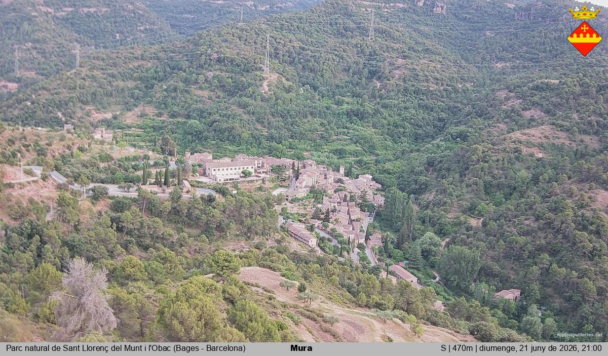 Mura 